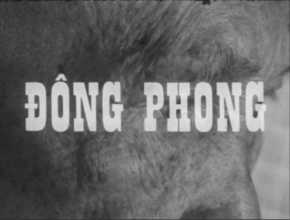 DONG PHONG VIETNAM - LE VILLAGE ÉPARGNÉ